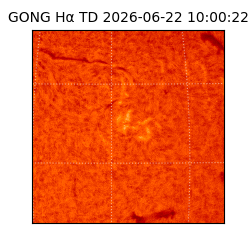 gong - 2026-06-22T10:00:22