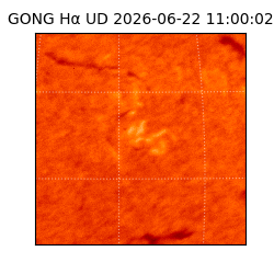 gong - 2026-06-22T11:00:02