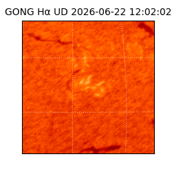 gong - 2026-06-22T12:02:02