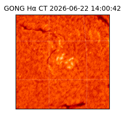 gong - 2026-06-22T14:00:42