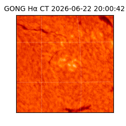 gong - 2026-06-22T20:00:42