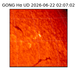 gong - 2026-06-22T02:07:02