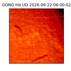 gong - 2026-06-22T06:00:02