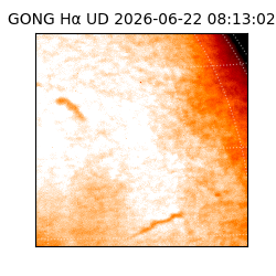 gong - 2026-06-22T08:13:02