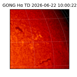 gong - 2026-06-22T10:00:22