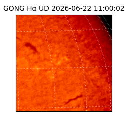 gong - 2026-06-22T11:00:02