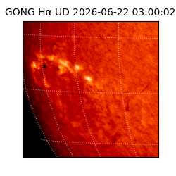 gong - 2026-06-22T03:00:02