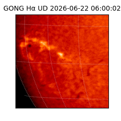 gong - 2026-06-22T06:00:02