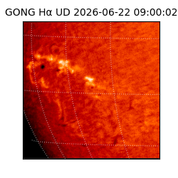gong - 2026-06-22T09:00:02