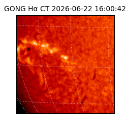 gong - 2026-06-22T16:00:42