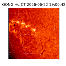 gong - 2026-06-22T19:00:42