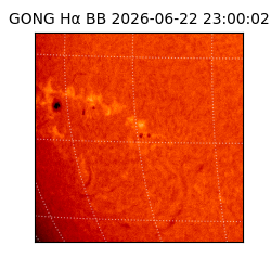 gong - 2026-06-22T23:00:02
