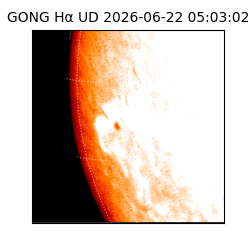 gong - 2026-06-22T05:03:02