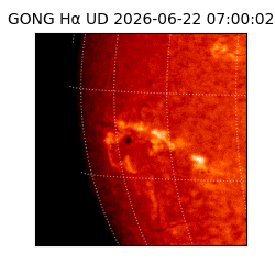 gong - 2026-06-22T07:00:02
