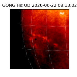 gong - 2026-06-22T08:13:02