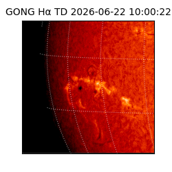 gong - 2026-06-22T10:00:22