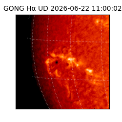 gong - 2026-06-22T11:00:02