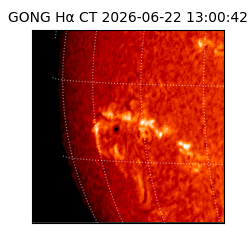 gong - 2026-06-22T13:00:42