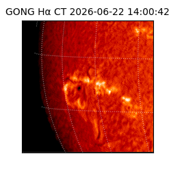 gong - 2026-06-22T14:00:42