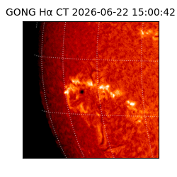gong - 2026-06-22T15:00:42