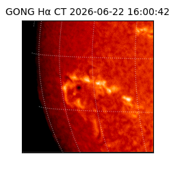 gong - 2026-06-22T16:00:42