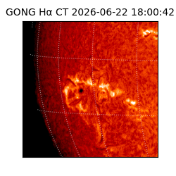 gong - 2026-06-22T18:00:42
