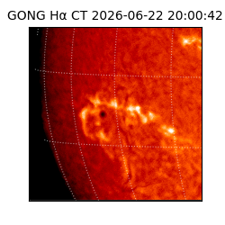 gong - 2026-06-22T20:00:42
