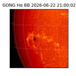 gong - 2026-06-22T21:00:02