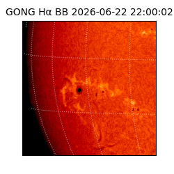 gong - 2026-06-22T22:00:02
