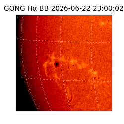 gong - 2026-06-22T23:00:02