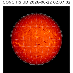 gong - 2026-06-22T02:07:02