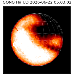 gong - 2026-06-22T05:03:02