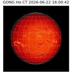 gong - 2026-06-22T16:00:42