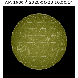 saia - 2026-06-23T10:00:14.123000