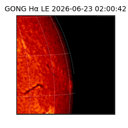 gong - 2026-06-23T02:00:42