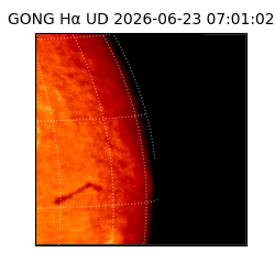 gong - 2026-06-23T07:01:02