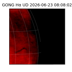 gong - 2026-06-23T08:08:02
