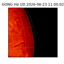 gong - 2026-06-23T11:00:02