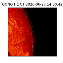gong - 2026-06-23T14:00:42