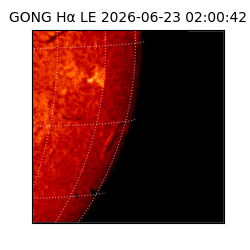 gong - 2026-06-23T02:00:42