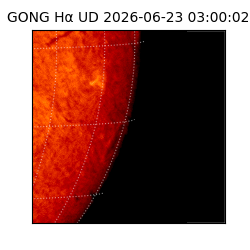 gong - 2026-06-23T03:00:02