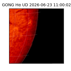 gong - 2026-06-23T11:00:02