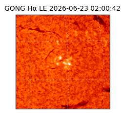 gong - 2026-06-23T02:00:42