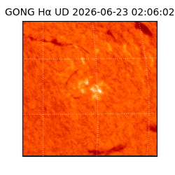 gong - 2026-06-23T02:06:02