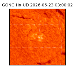 gong - 2026-06-23T03:00:02