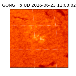 gong - 2026-06-23T11:00:02