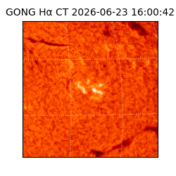 gong - 2026-06-23T16:00:42