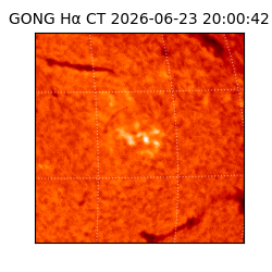 gong - 2026-06-23T20:00:42