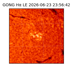 gong - 2026-06-23T23:56:42
