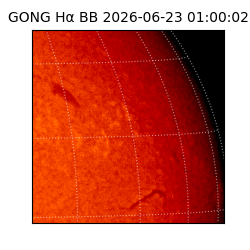 gong - 2026-06-23T01:00:02